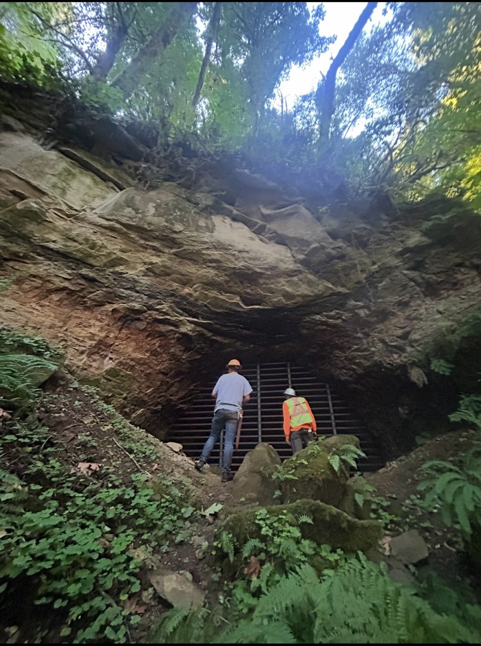 KLS field crew working at a rock formation in the forest
