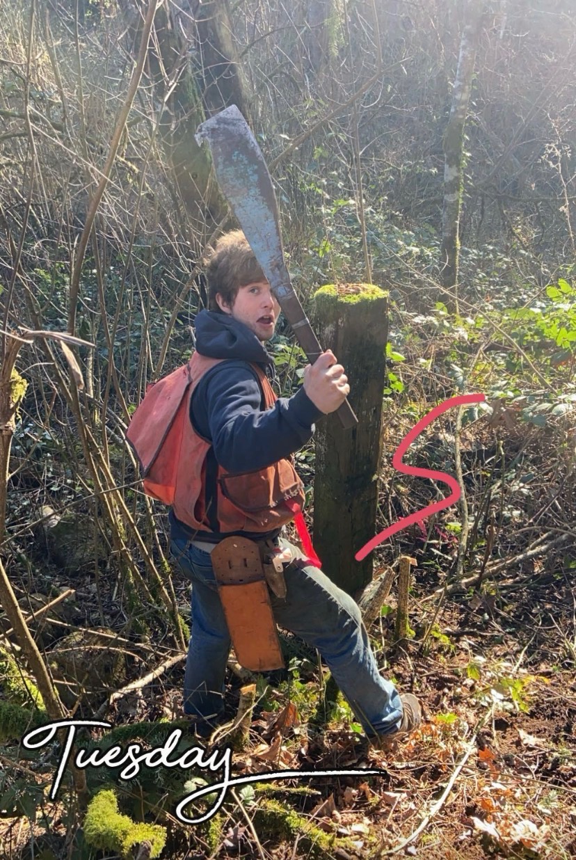Field crew member clearing a line through heavy brush