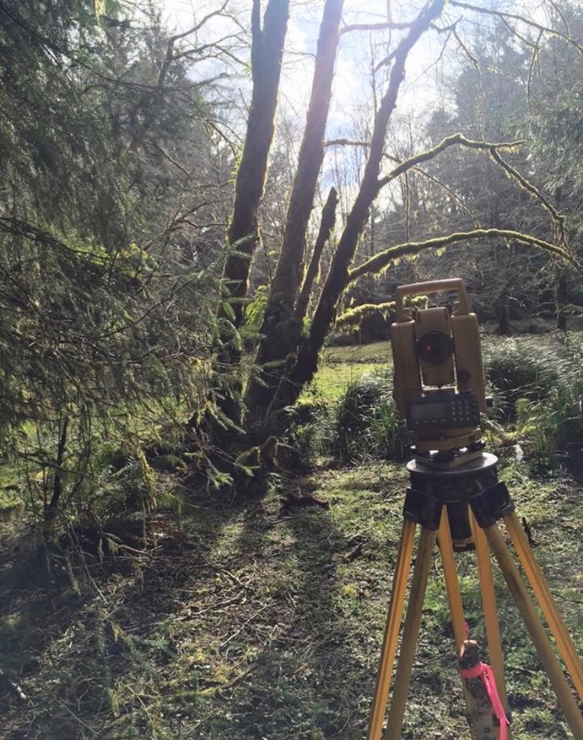 Total station set up along a wooded survey line