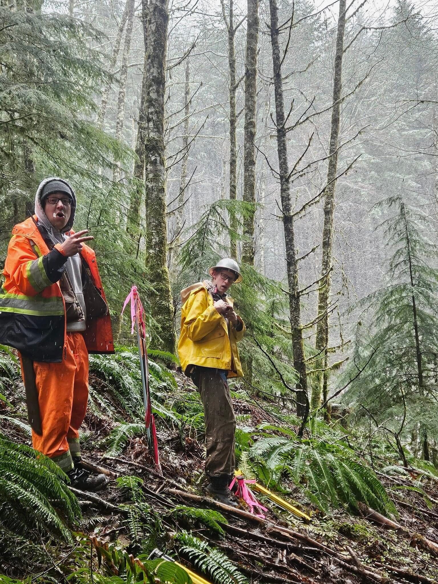 KLS field crew working through snowy forest conditions